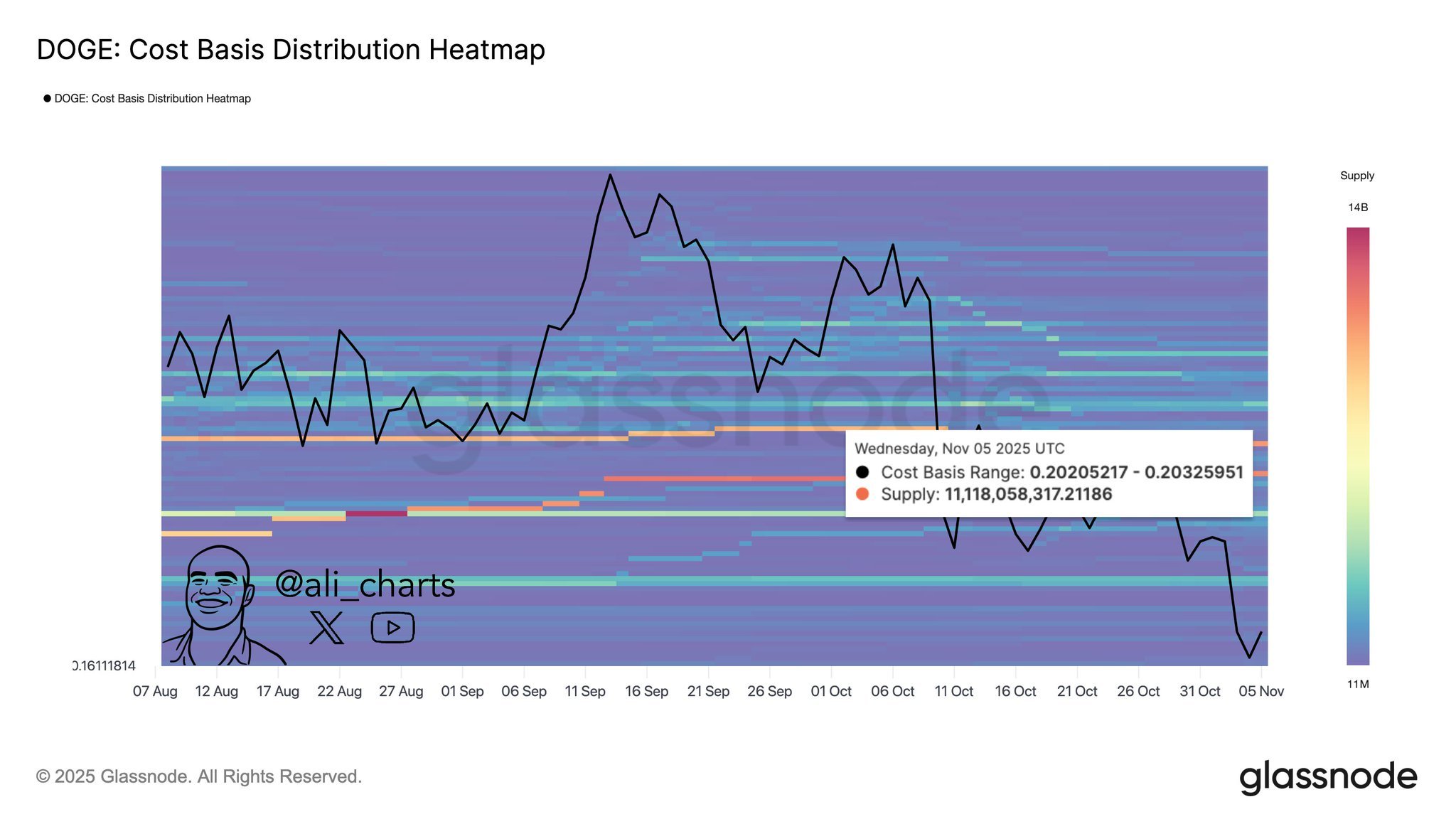 Dogecoin Distribution Heatmap