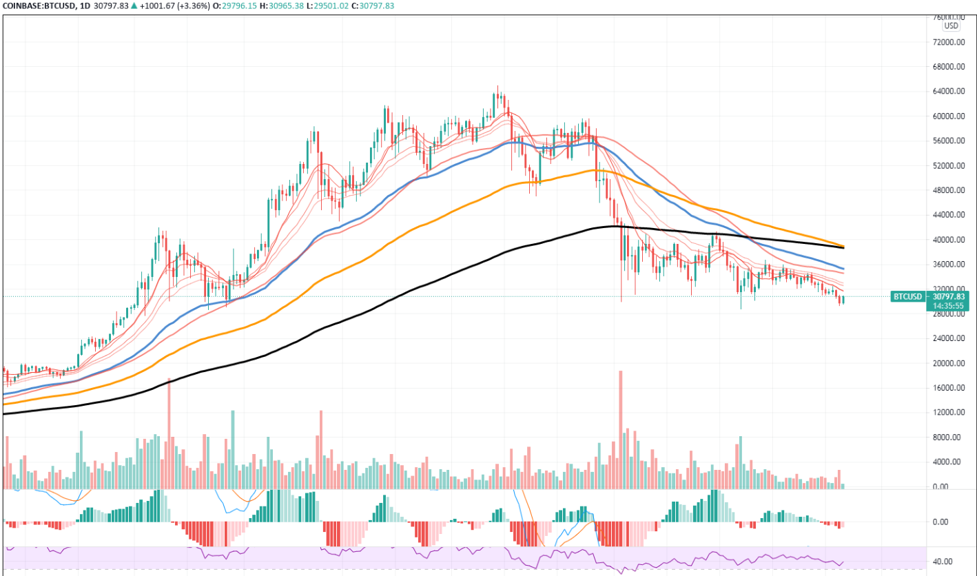 Bitcoin Daily Chart