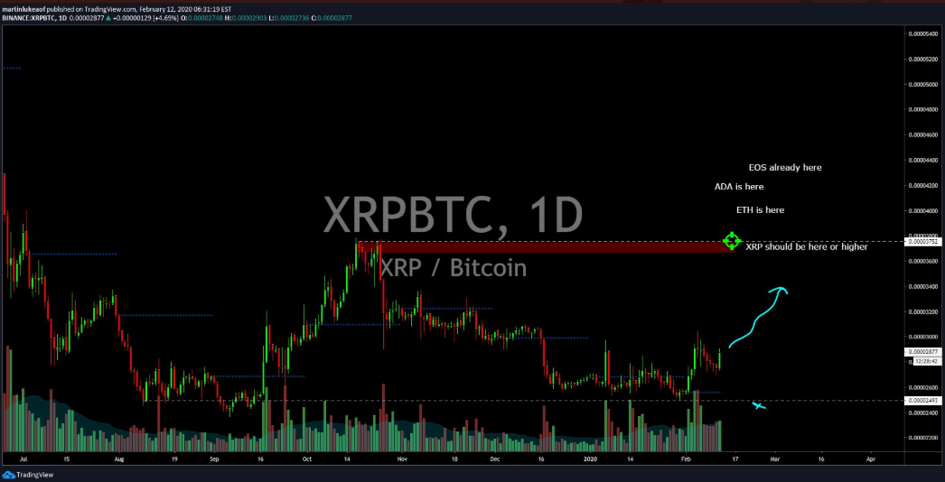 XRP price TV