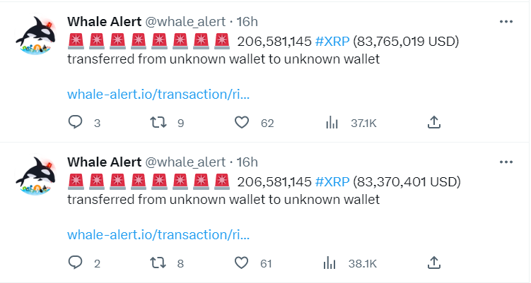 XRPクジラリップル移動00ergth45gtuiergfh