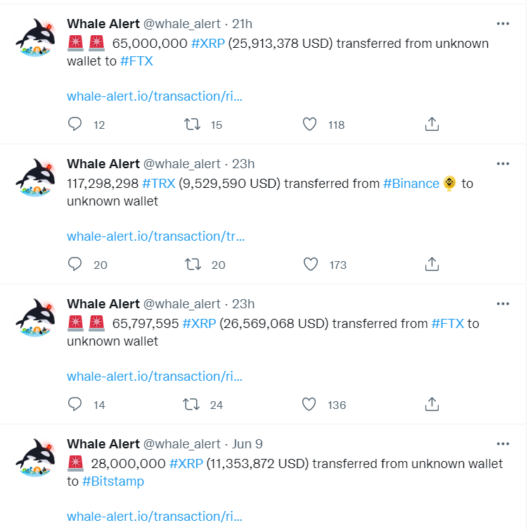 Xrpwhales_00Sdfsfsadr_9