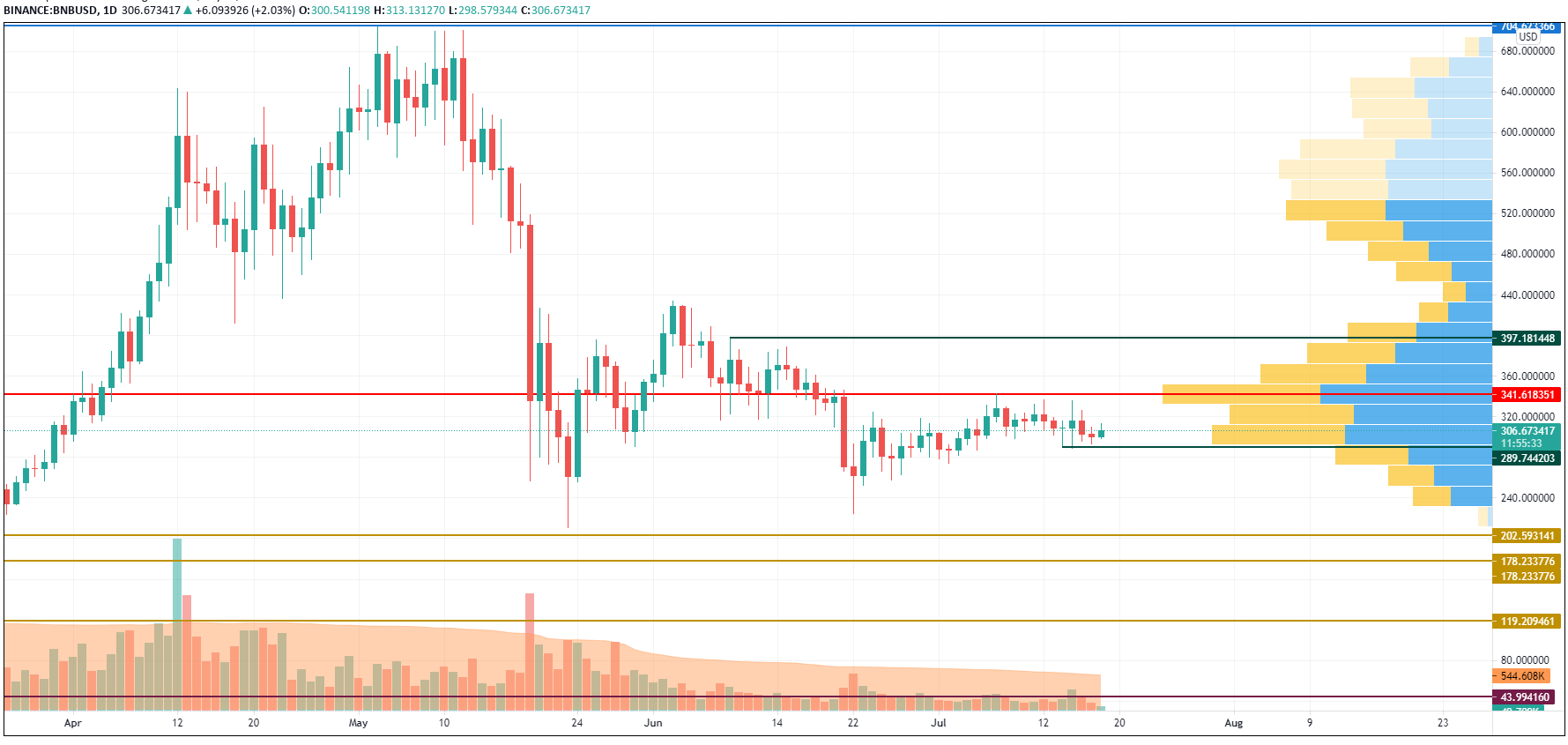 BNB/USD chart byTrading View