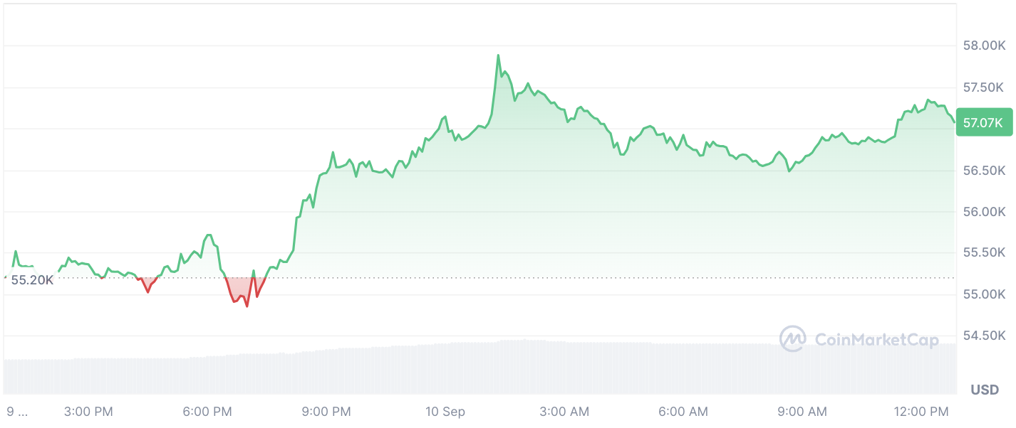 ドージコイン（DOGE）作成者がマイケル・セイラー氏の1300万ドルのビットコイン予測を上回った