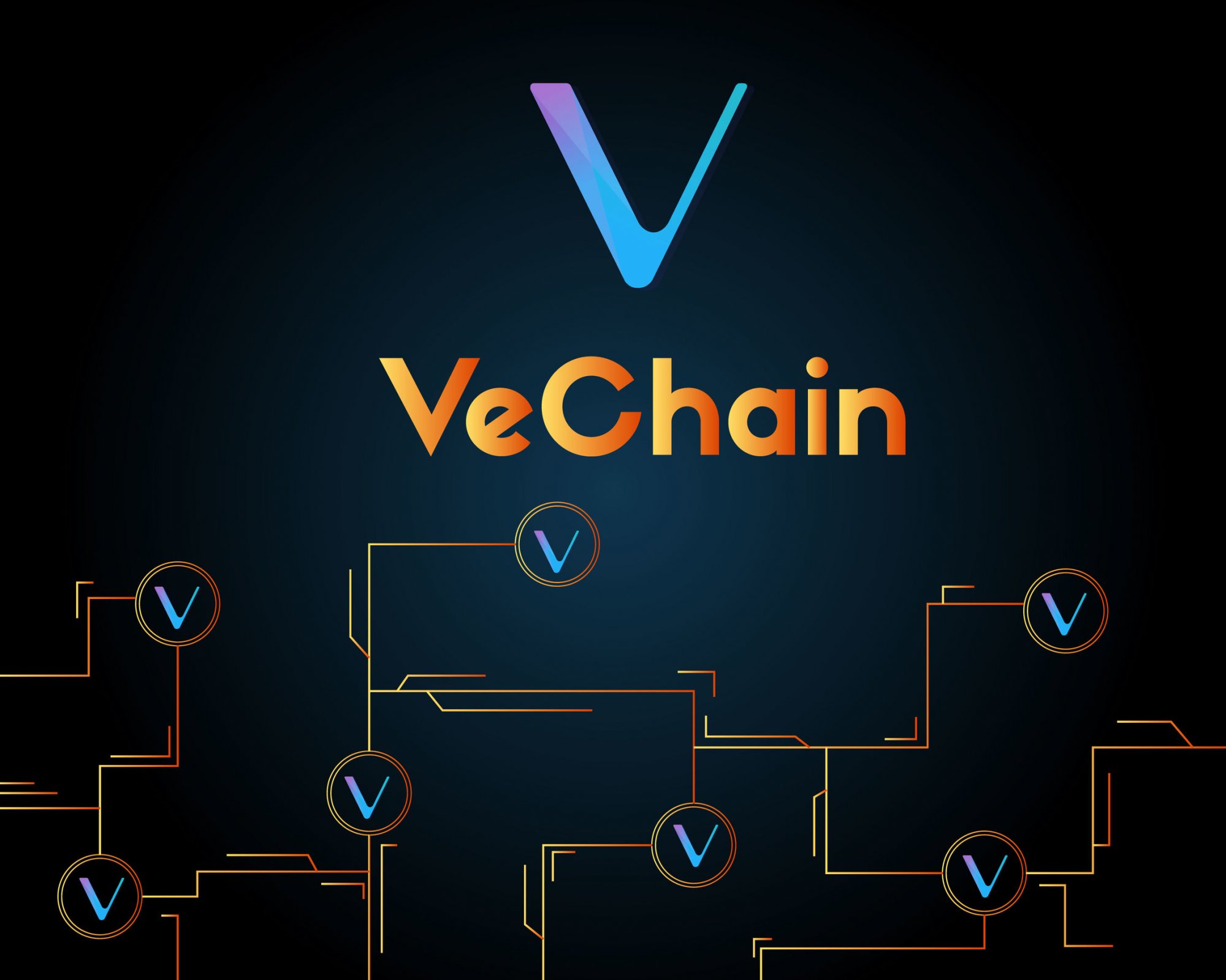 Vechain Price Analysis 2019 20 25 How Much Might Vet Cost - 