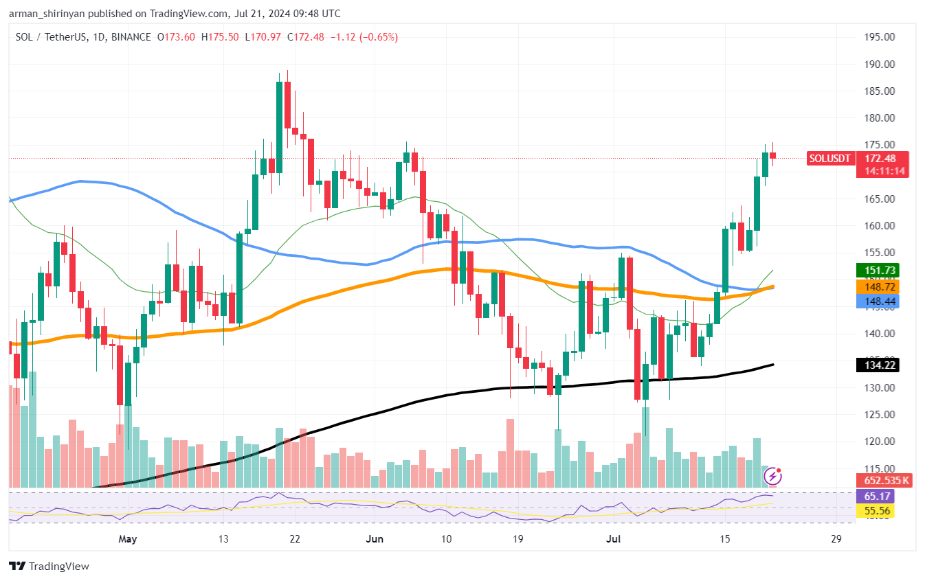 Solana Cat Meme Coin steigt um 117 %, aber es gibt etwas, das Sie wissen müssen