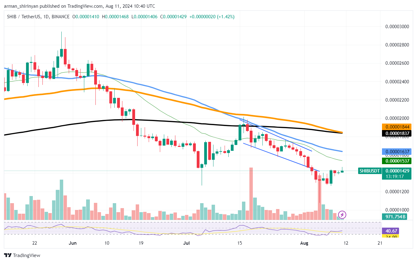 Binance przenosi 137 miliardów Shiba Inu (SHIB): Szczegóły