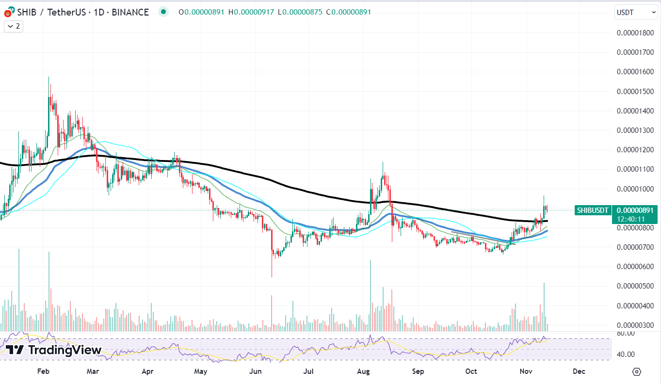  SHIB/USD chart