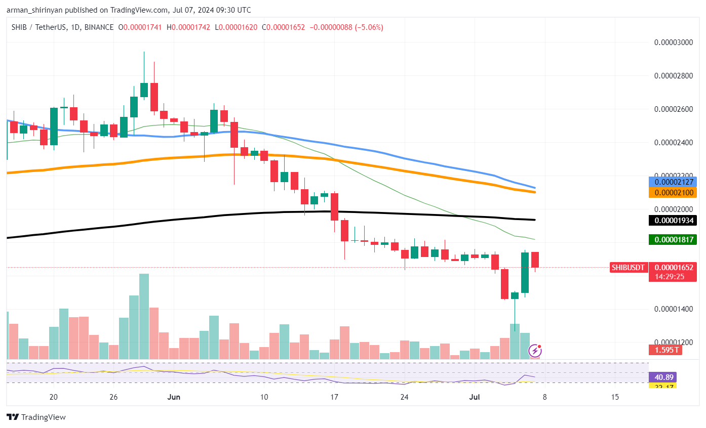 Shiba Inu (SHIB) Surges to $0.00016, but Not for Long