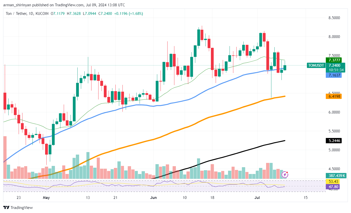 Toncoin sobe 376% enquanto baleias acumulam TON baratas