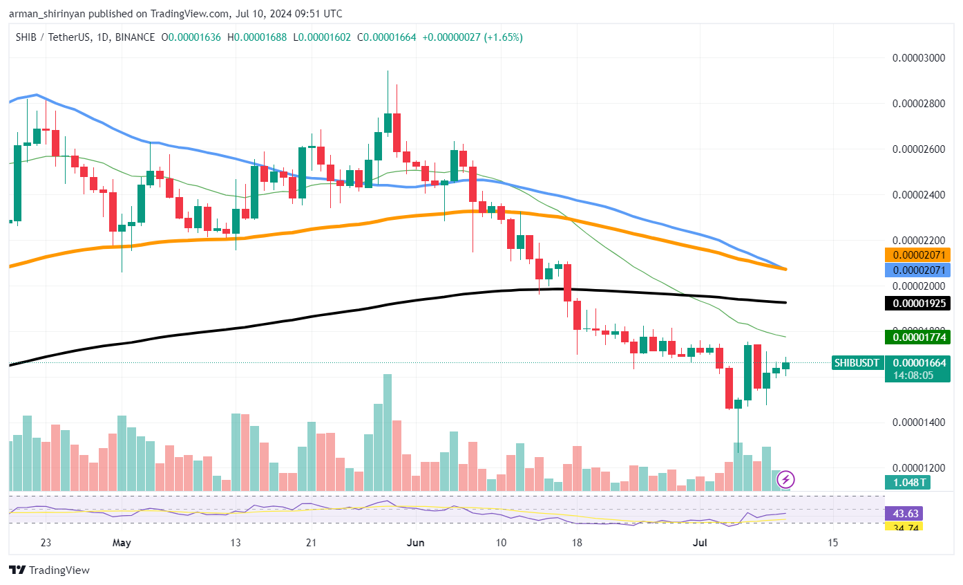 Shiba Inu (SHIB) Massives Comeback von 0,000017 $ Vital: Details