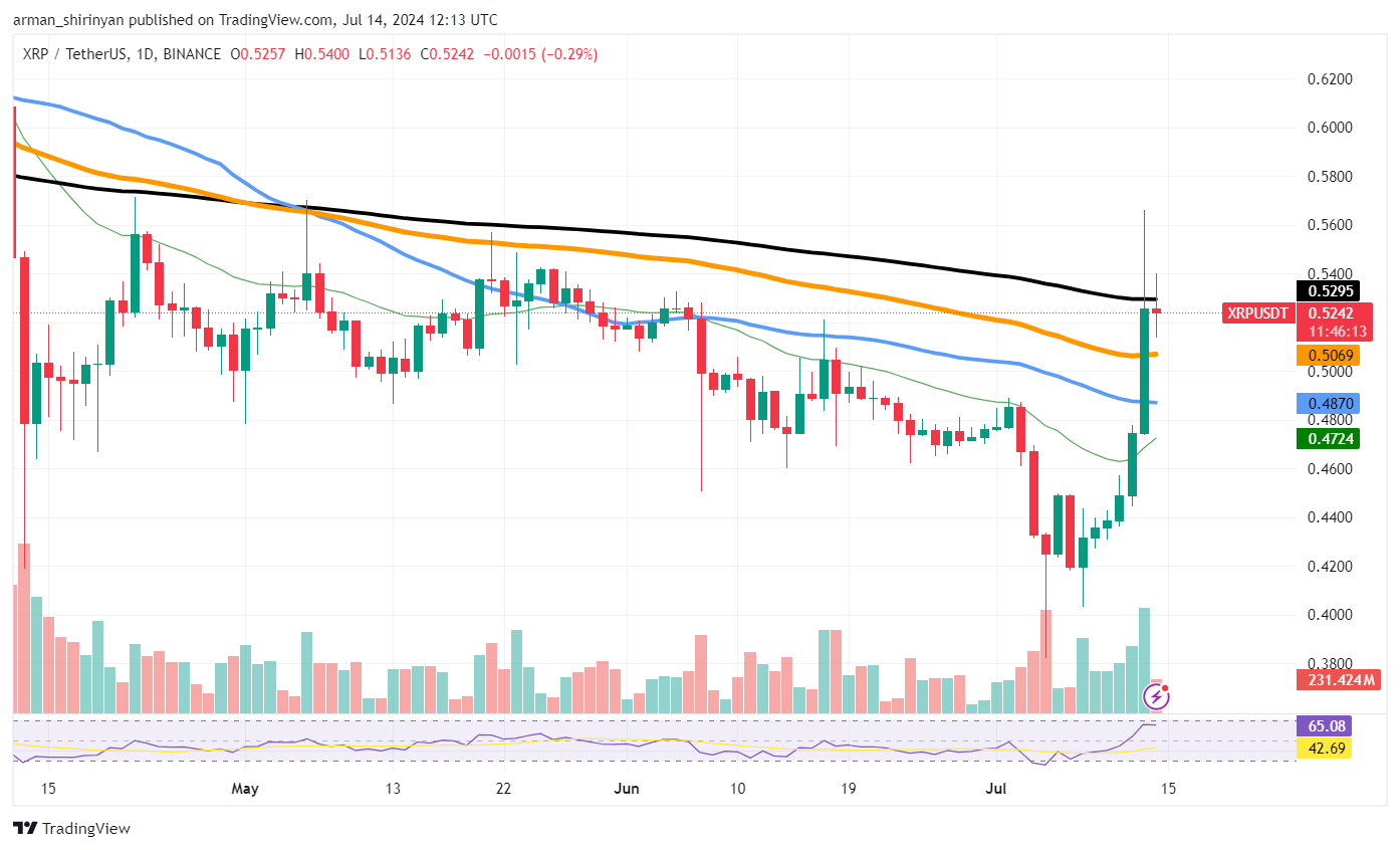 Biggest XRP Recovery in 2024, Will Shiba Inu (SHIB) Join Explosive Market Rally? Bitcoin (BTC): Are We Ready for $70,000?