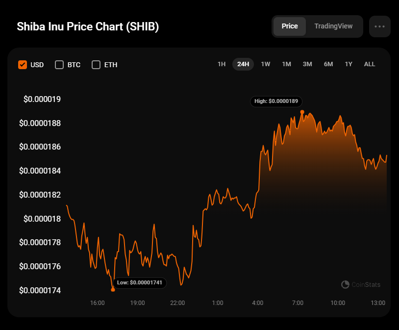 SHIB Price Prediction for June 19