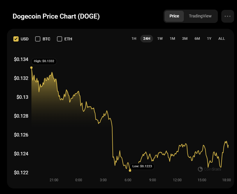 DOGE Prognoza na 25 lipca