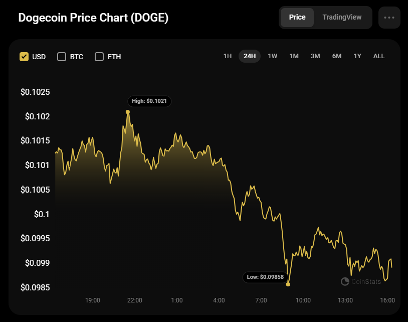 Previsão DOGE para 1º de setembro