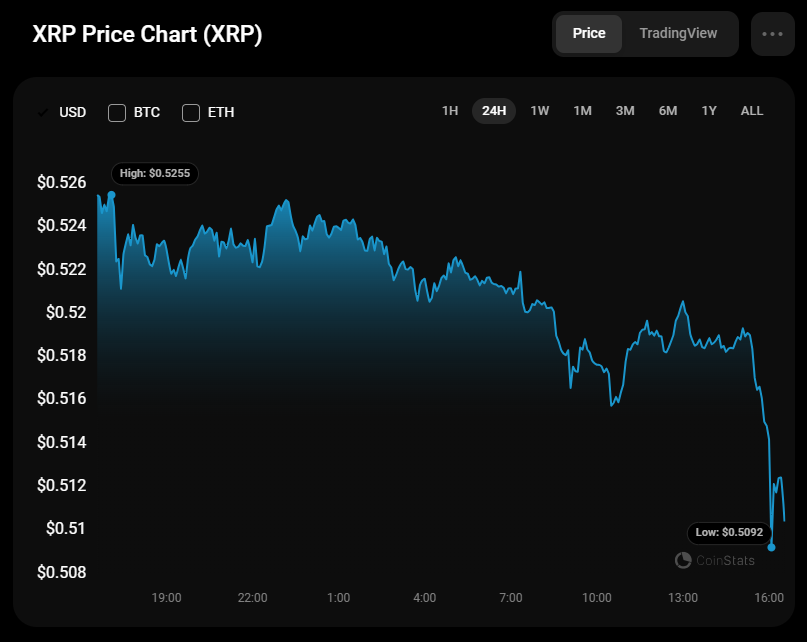 10월 31일 XRP 가격 예측