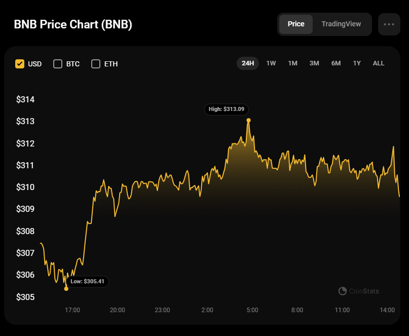 Анализ цен Binance Coin (BNB) на 30 января