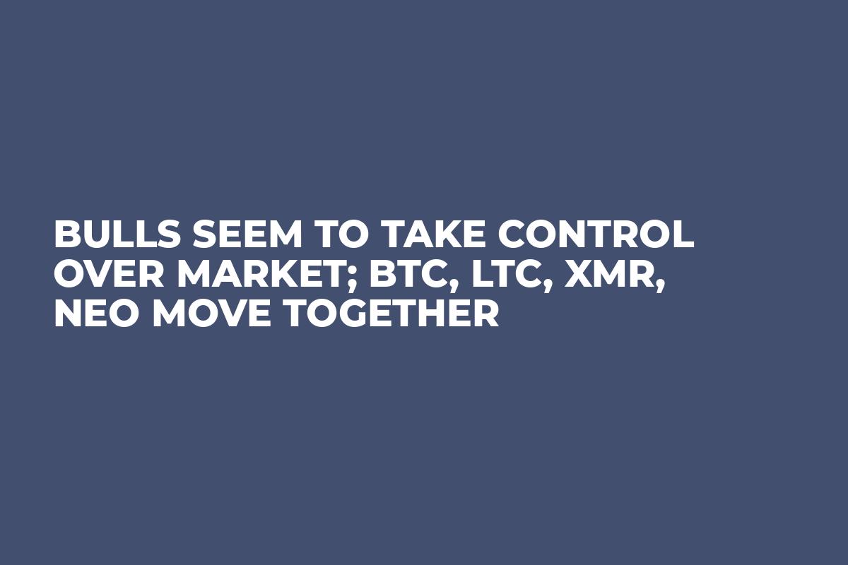 Bulls Seem to Take Control Over Market; BTC, LTC, XMR, NEO Move Together