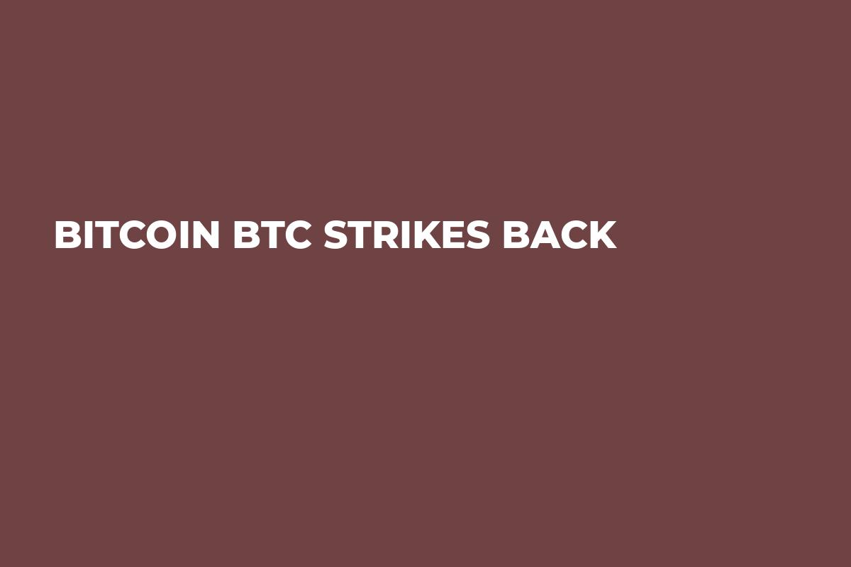Bitcoin BTC Strikes Back
