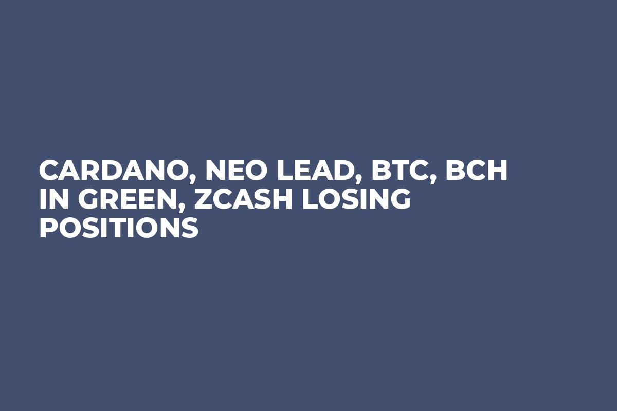 Cardano, Neo Lead, BTC, BCH in Green, Zcash Losing Positions