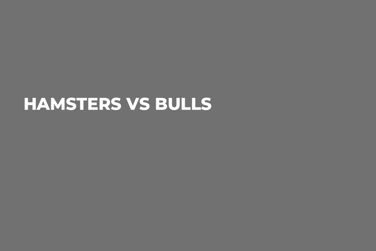Hamsters VS Bulls