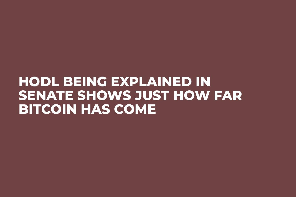 HODL Being Explained in Senate Shows Just How Far Bitcoin Has Come