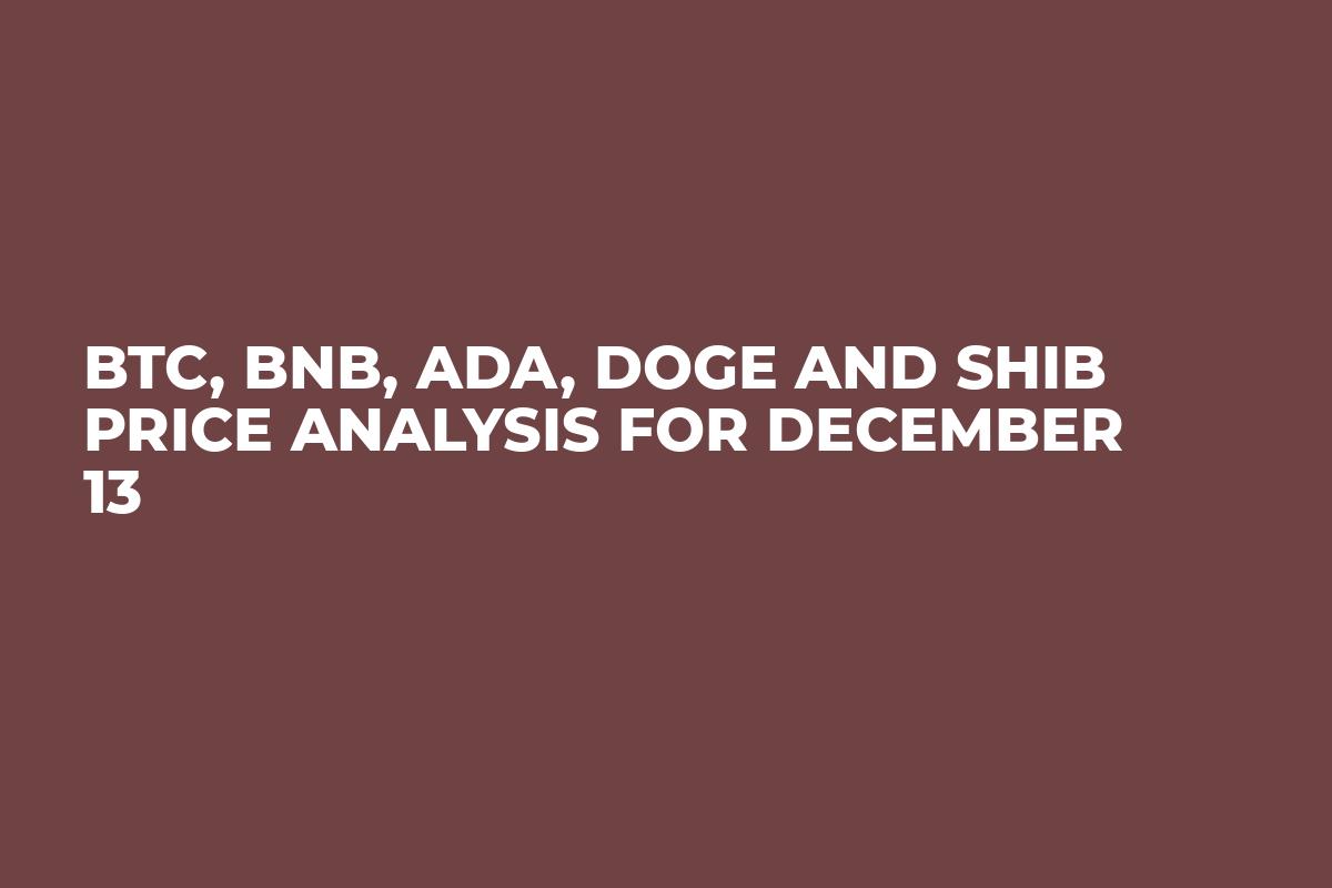 BTC, BNB, ADA, DOGE and SHIB Price Analysis for December 13