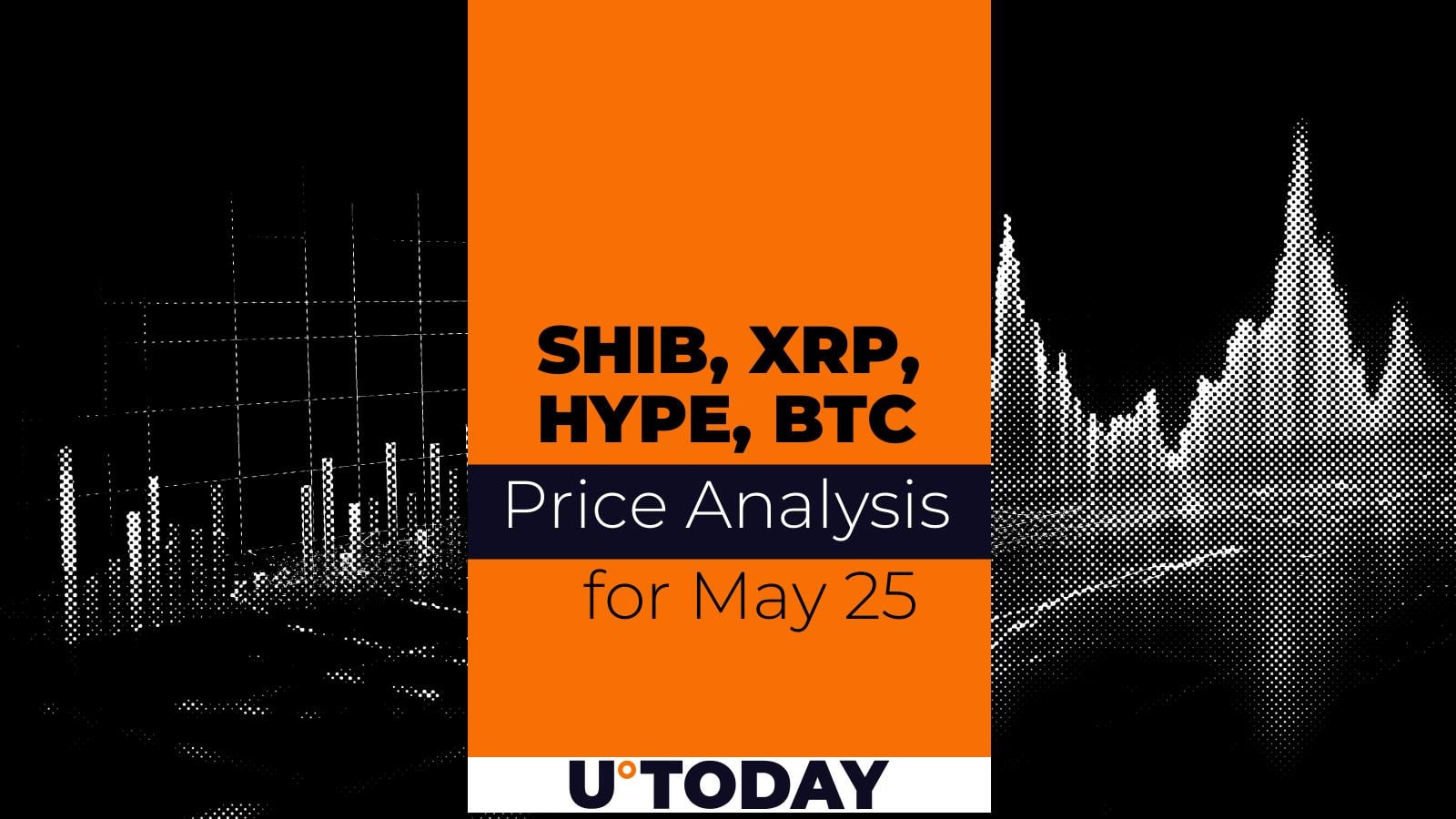 Shiba Inu (SHIB), XRP, Hyperliquid (HYPE) and Bitcoin (BTC) Price Analysis for May 26: Risk Brings Profits