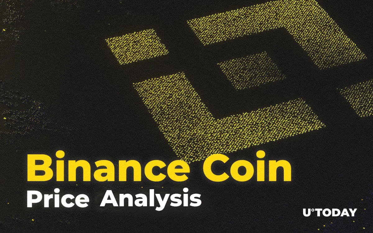 Binance Coin Price Analysis 2019 20 25 How Much Might BNB Cost 
