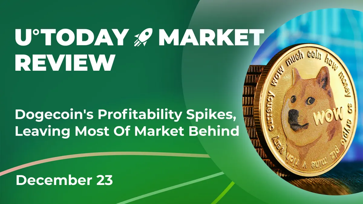 Dogecoin's Profitability Spikes, Leaving Most of Market Behind: Crypto Market Review, Dec. 23