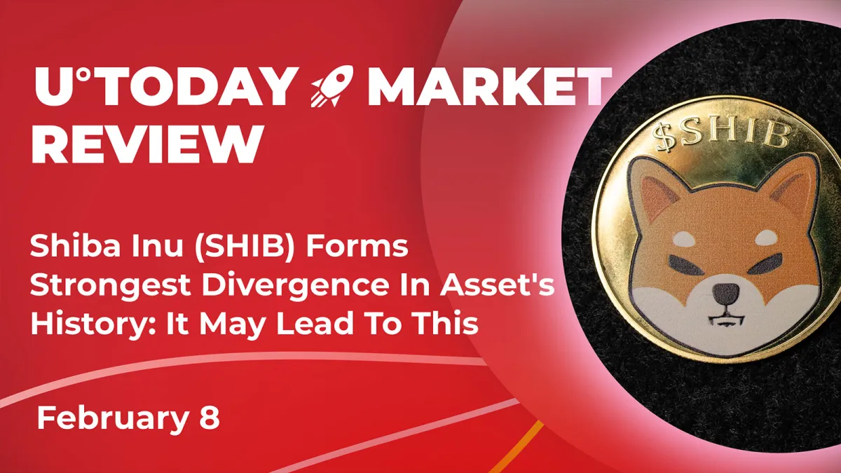 Shiba Inu (SHIB) Forms Strongest Divergence in Asset's History: It May Lead to This