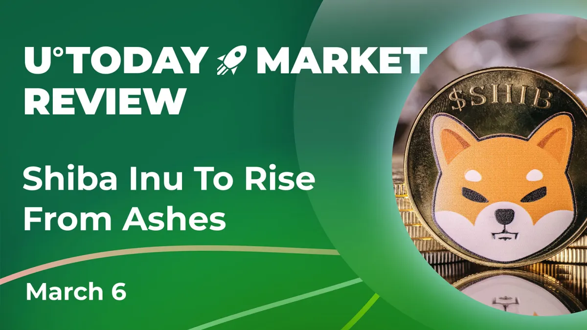 Two Important Shiba Inu (SHIB) Factors Show That It Might Face Recovery in Upcoming Days: Details