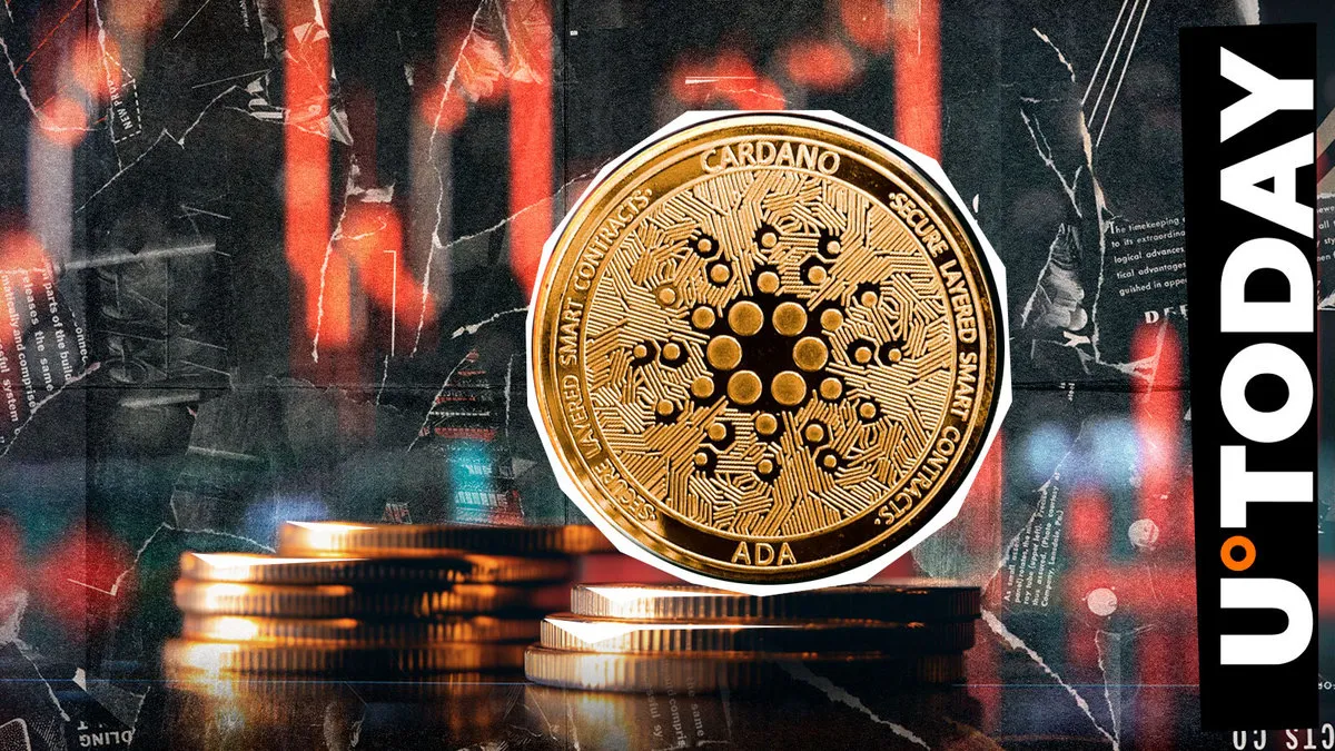 Cardano Bull Run Anticipated as ADA Community Identifies Bottom