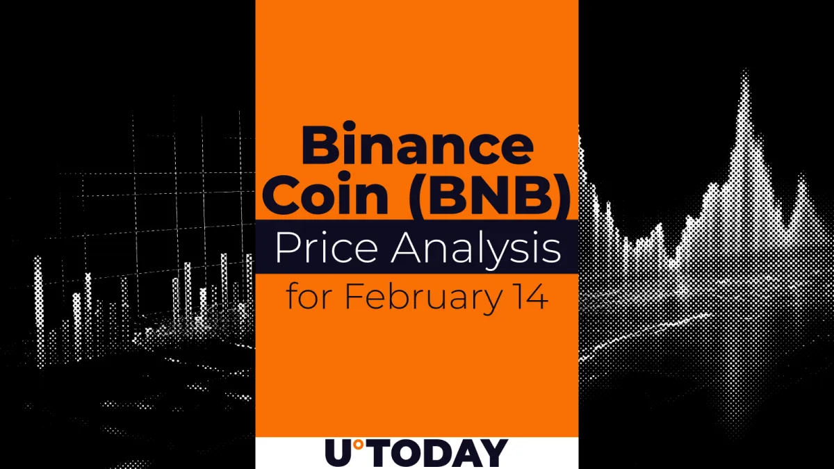 Binance Coin (BNB) Price Prediction for February 14