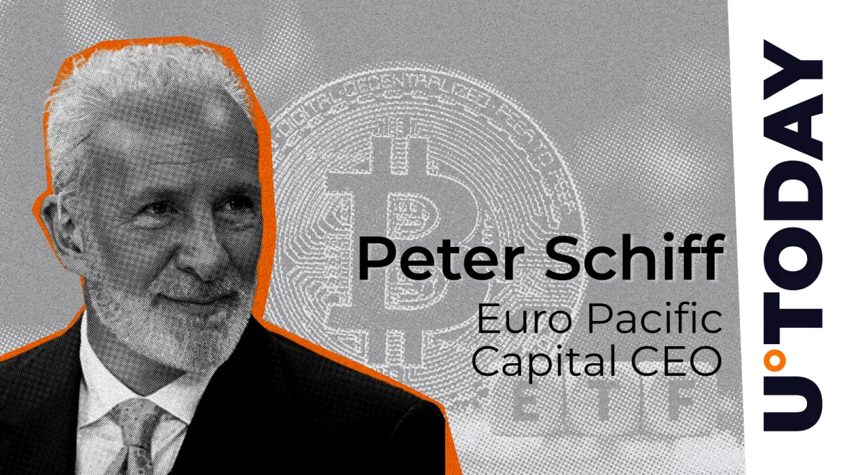Schiff: 'Bitcoin Is Losing'