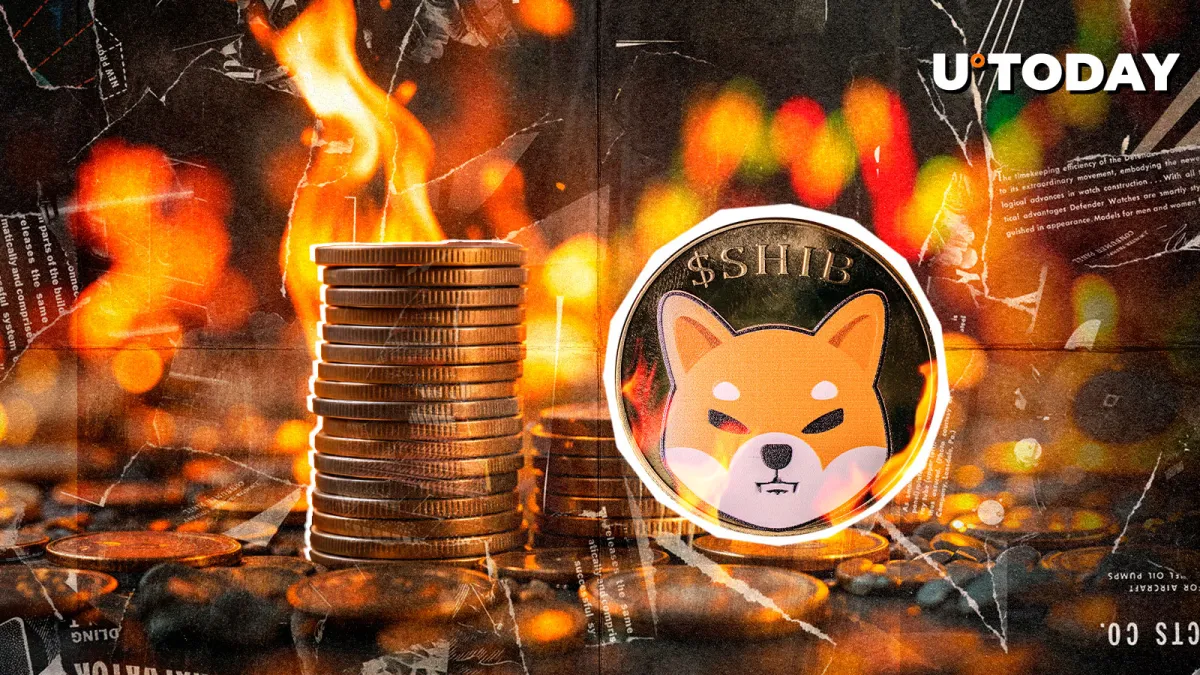 SHIB Burns in Deep Red — What's Happening?