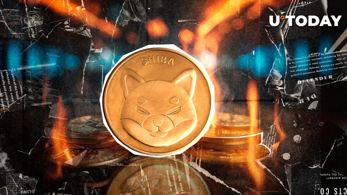  25,696,960 SHIB In Merely Hours – What’s Happening?