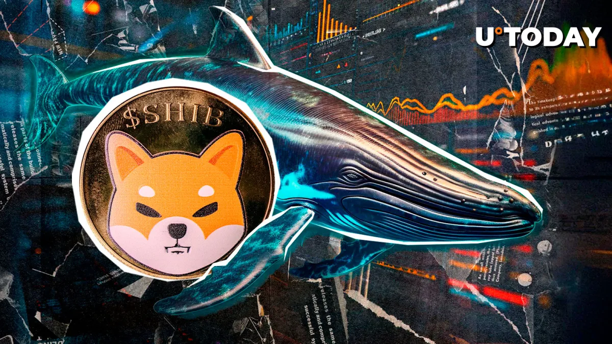 Almost Zero? Shiba Inu Whale Inflows Show Surprising Trend