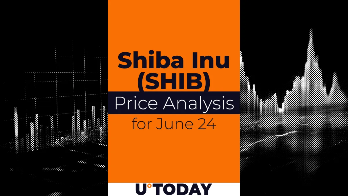 SHIB Price Prediction for June 24