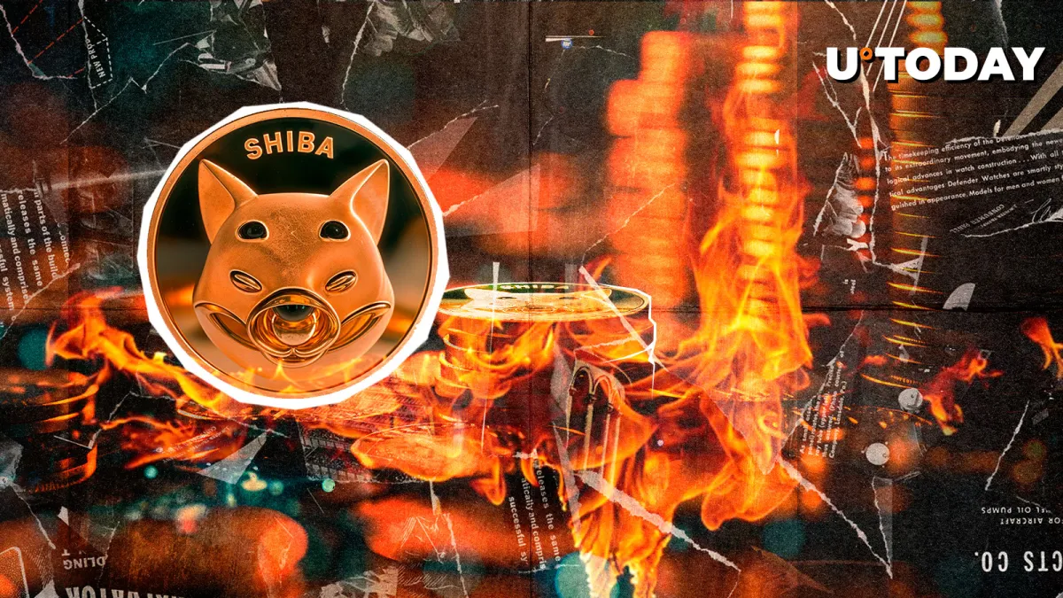 Shiba Inu Burn Rate Collapses 99%, But There's a Catch