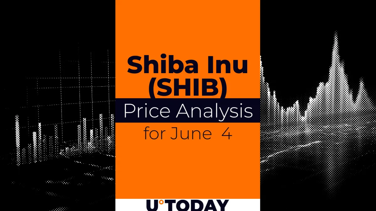 SHIB Price Prediction for June 4