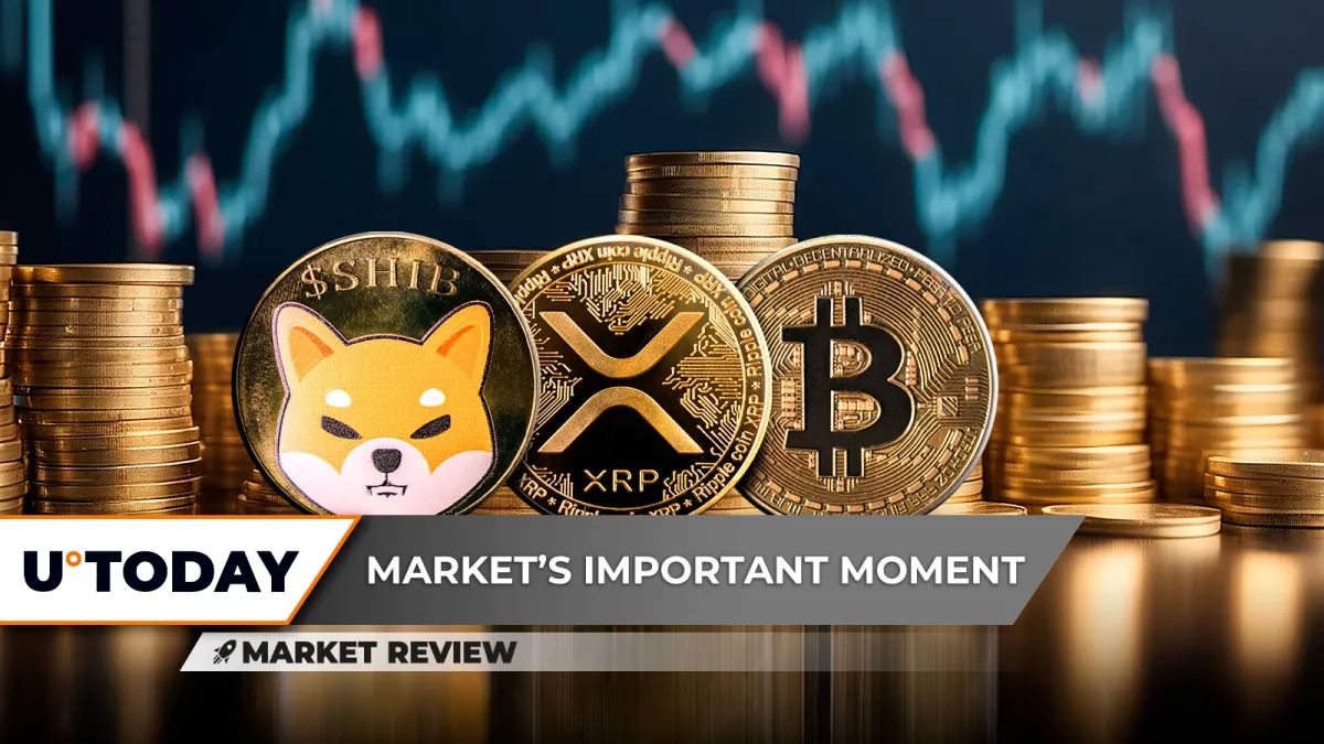 Shiba Inu (SHIB) Needs This Now, This Bitcoin (BTC) Signal Not Great, XRP: First Time in History?