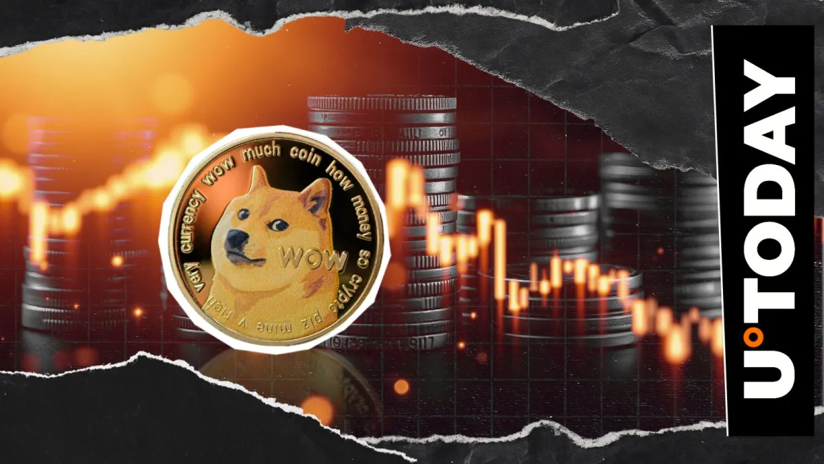 Wall Street Just Saw Its First Dogecoin Treasury, and It Collapsed 59%