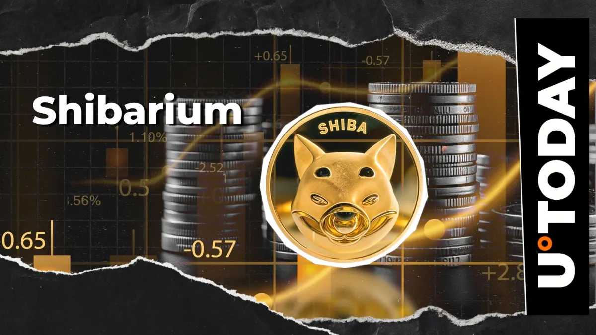 Key Shibarium Use Cases Shared by SHIB Team