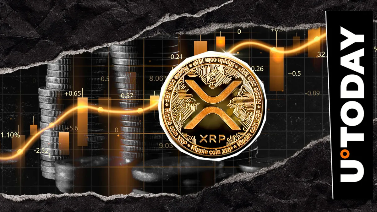 Is This XRP's Golden Opportunity? Bollinger Bands Deliver Brutal Chart Truth