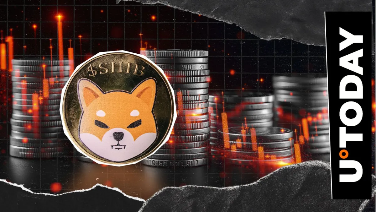 Shiba Inu (SHIB): Is It Ending?