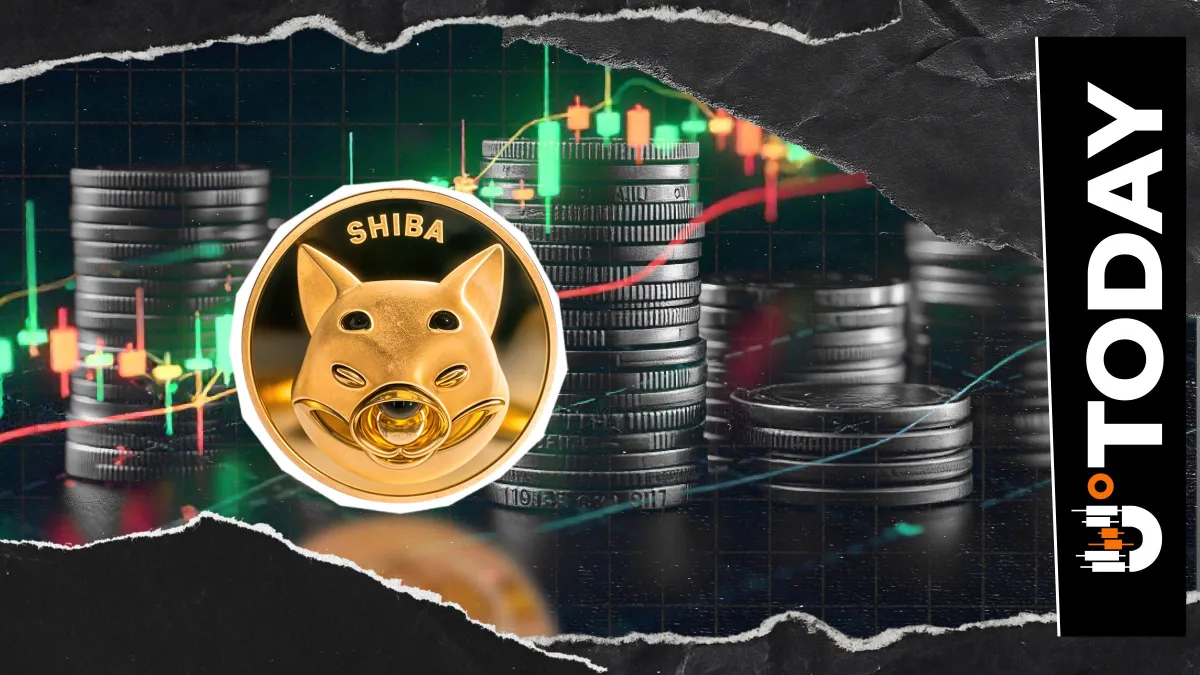 Shiba Inu (SHIB) Saved? Fundamental Support Formed