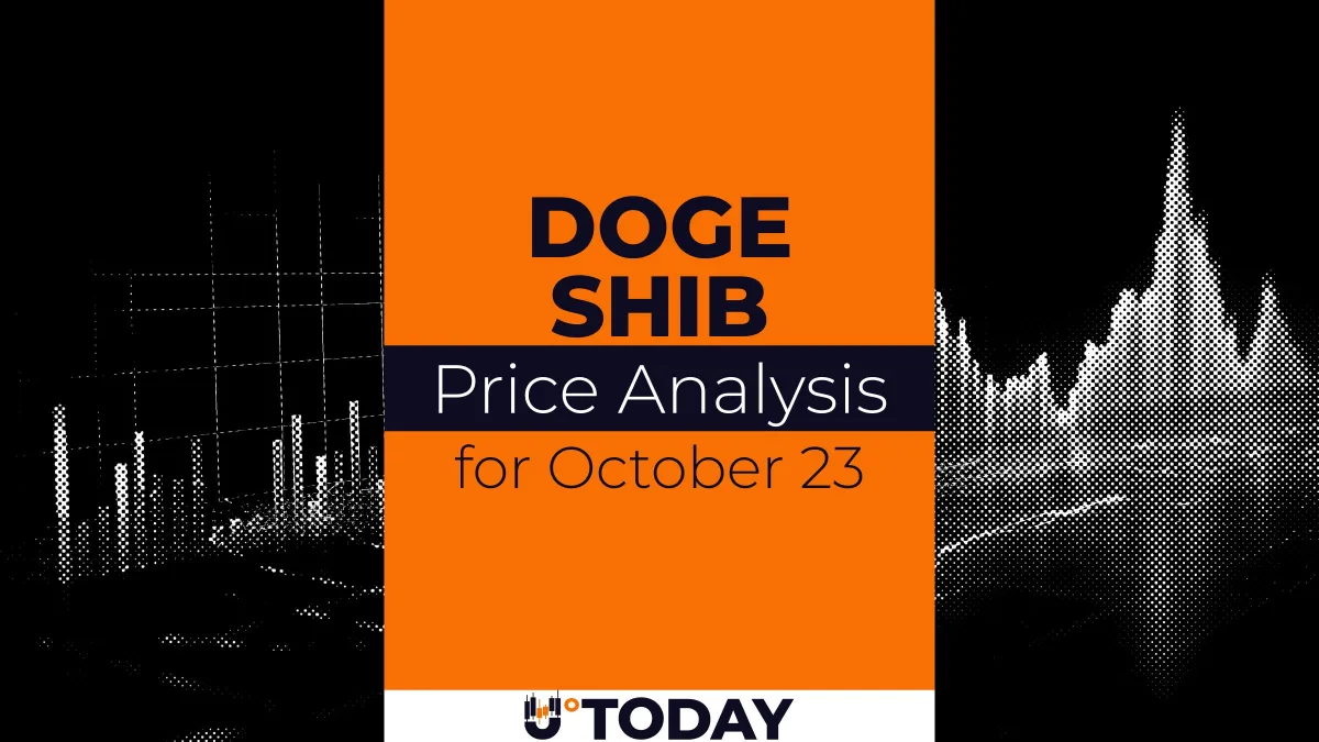 DOGE and SHIB Price Analysis for October 23