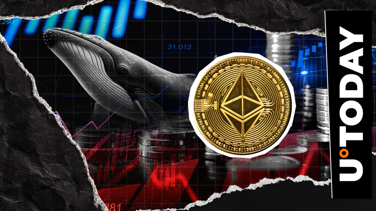 Ethereum Back on Whales' Radar After 12% Price Crash