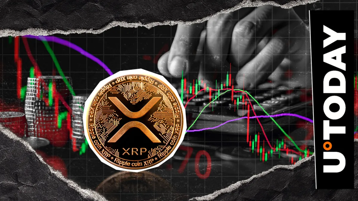 XRP Holders Didn't Panic Despite 50% Price Drop