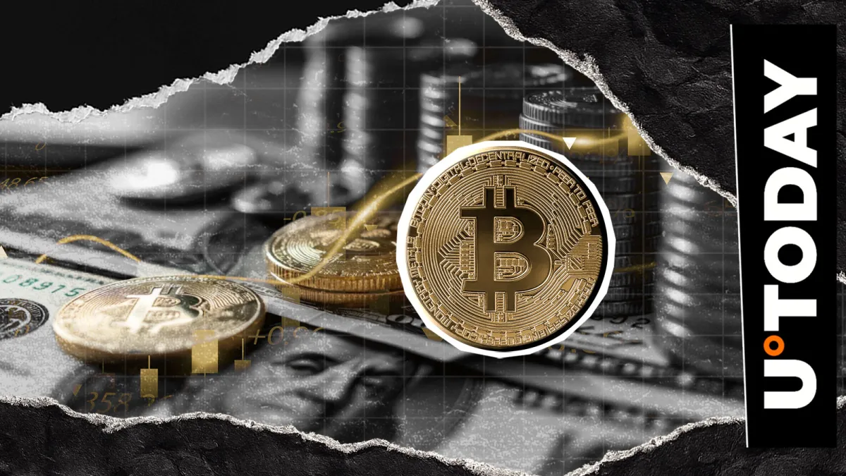 Bitcoin's First-Ever $20,000 Daily Candle Emerges: What's Next?